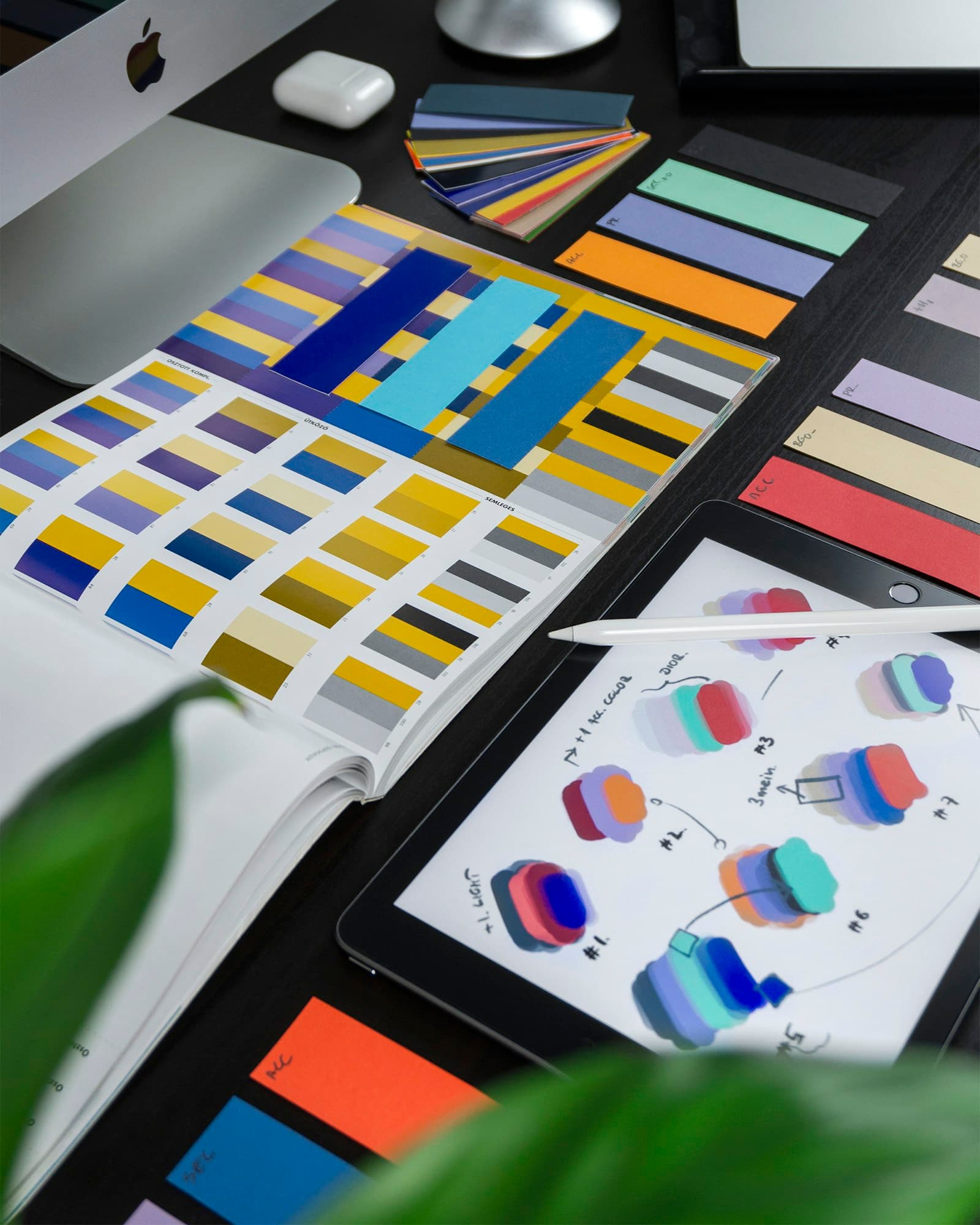 Early-stage brand identity elements: wordmark, color palette, and type samples